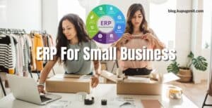 Erp For Small Business
