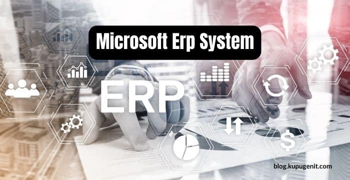 Microsoft Erp System